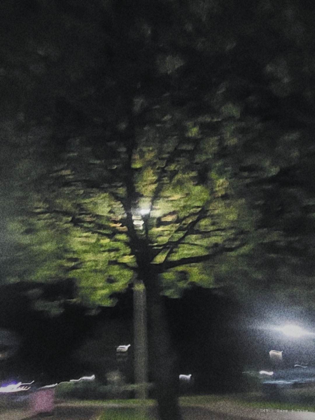 S4V sample photograph 1
