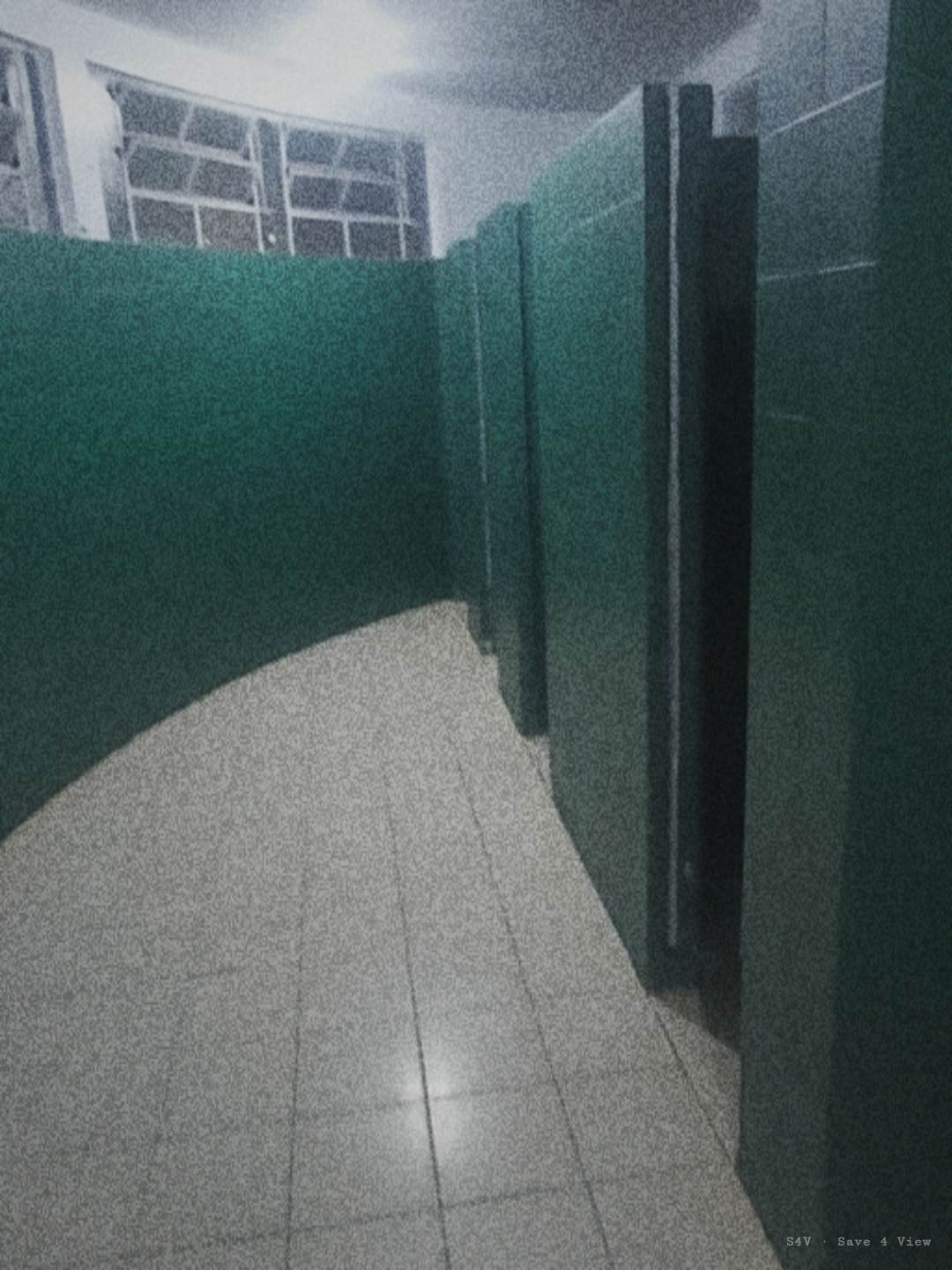 S4V sample photograph 2
