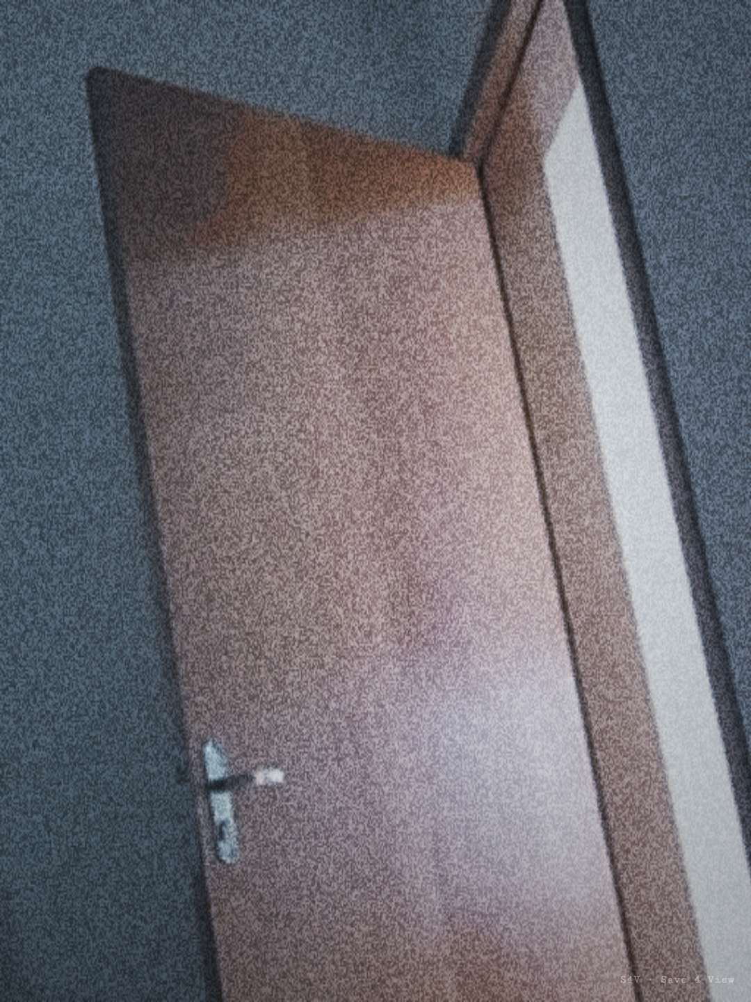 S4V sample photograph 5
